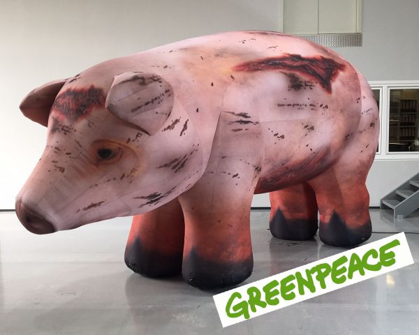 Aufblasbares Riesenschwein für GREENPEACE